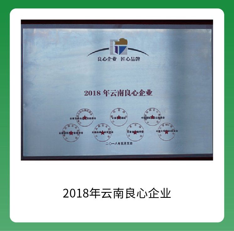 品牌荣誉-03