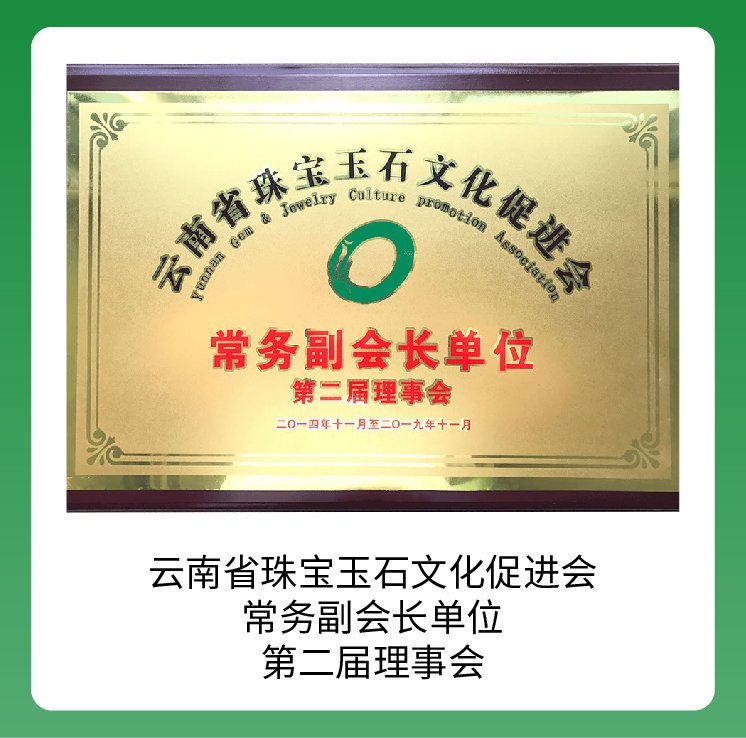 品牌荣誉-11