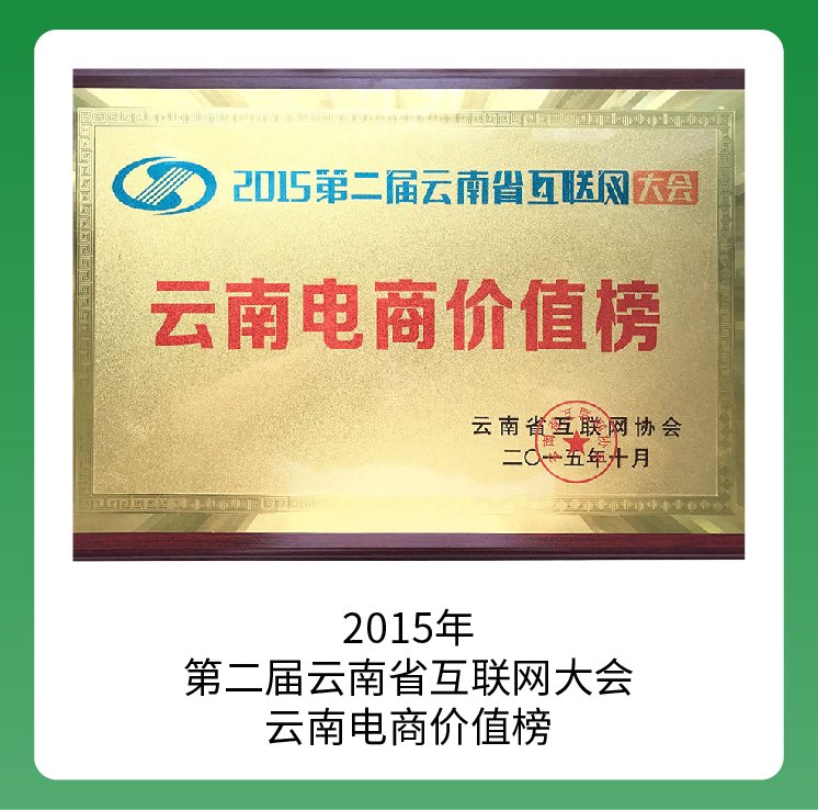 品牌荣誉-13